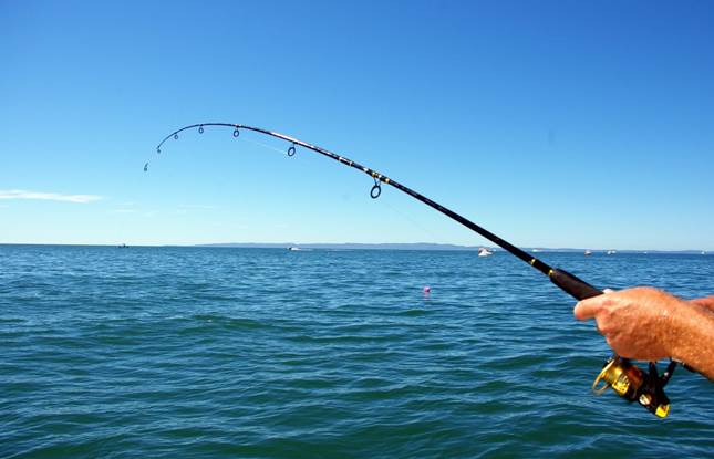 fishing-rod31