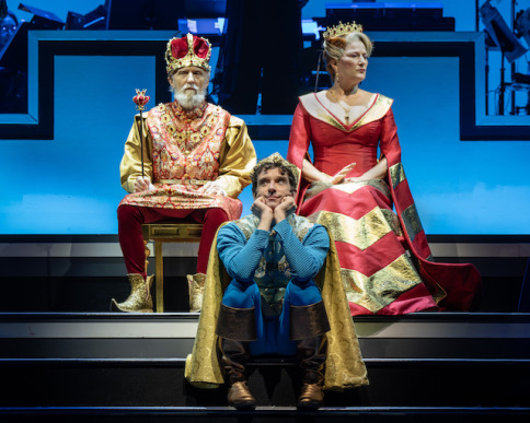 Once Upon a Mattress