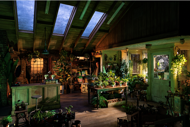 A room with plants in it